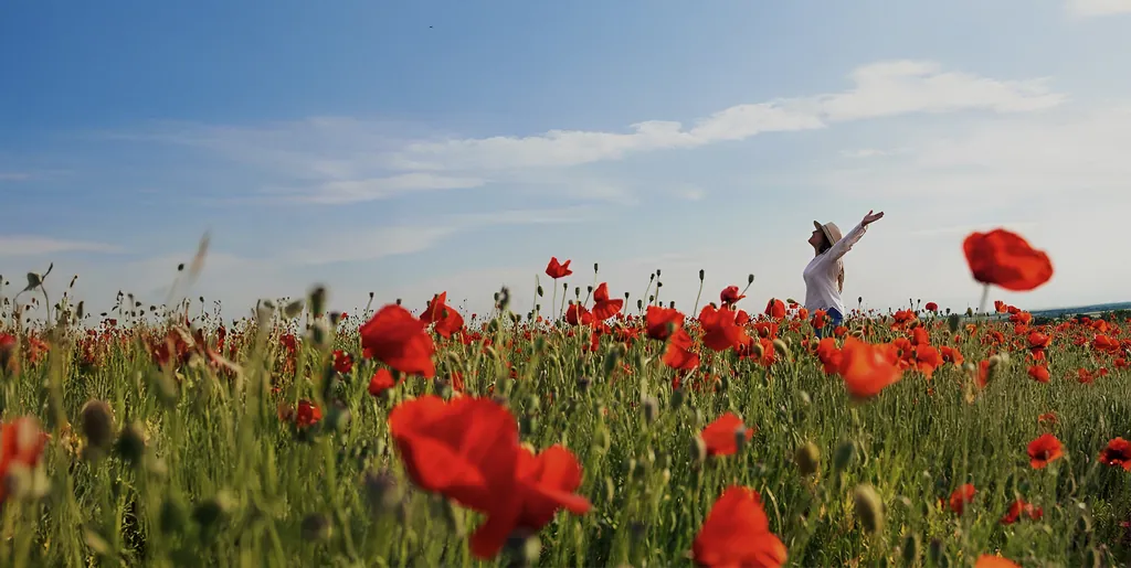 Promoción de Fin de año