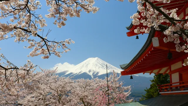 Seguro de Viaje para Japón